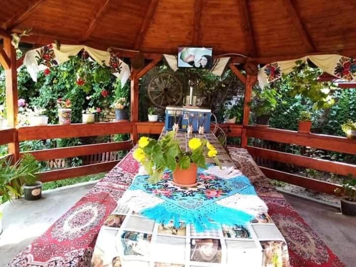 Casa Florilor Barcutアパートメント エクステリア 写真