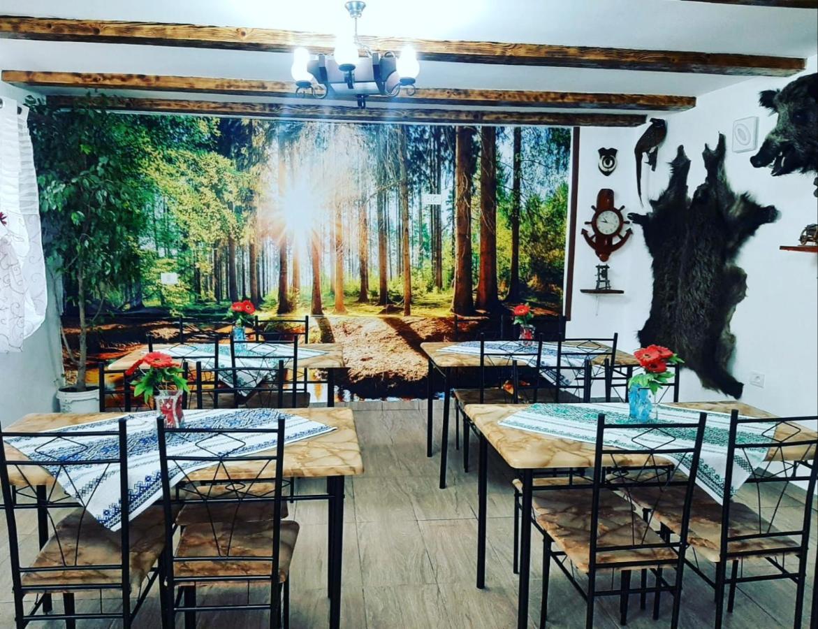 Casa Florilor Barcutアパートメント エクステリア 写真