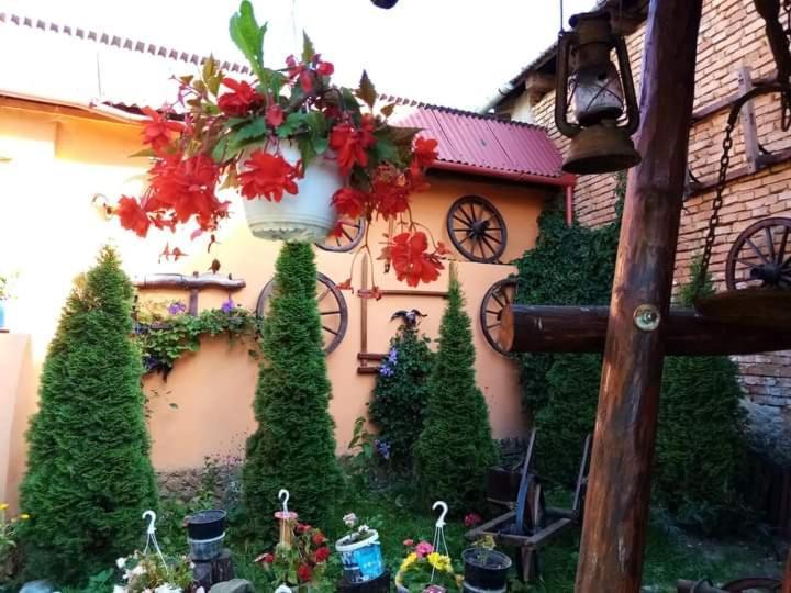 Casa Florilor Barcutアパートメント エクステリア 写真