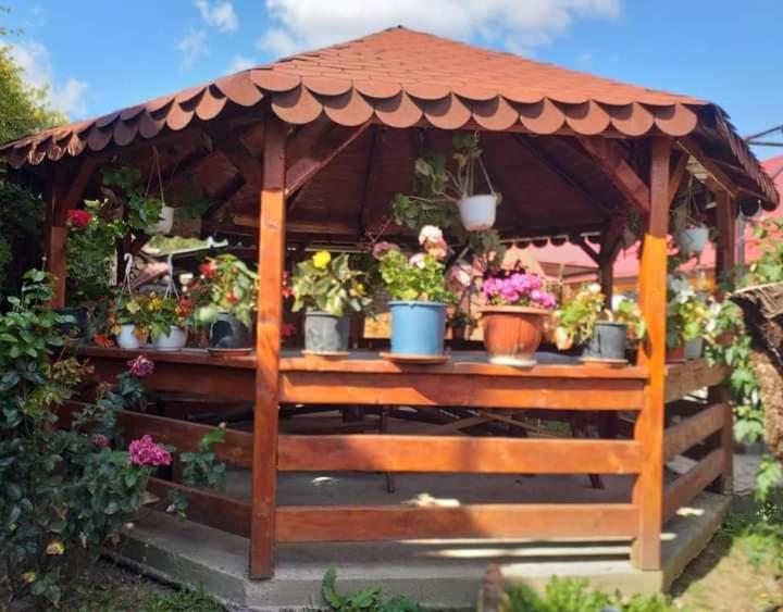 Casa Florilor Barcutアパートメント エクステリア 写真
