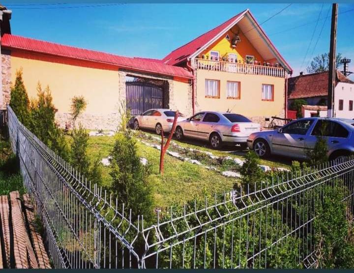 Casa Florilor Barcutアパートメント エクステリア 写真