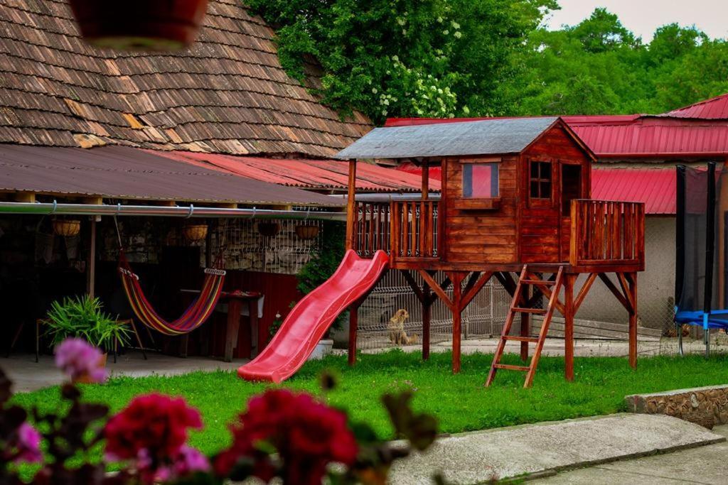 Casa Florilor Barcutアパートメント エクステリア 写真