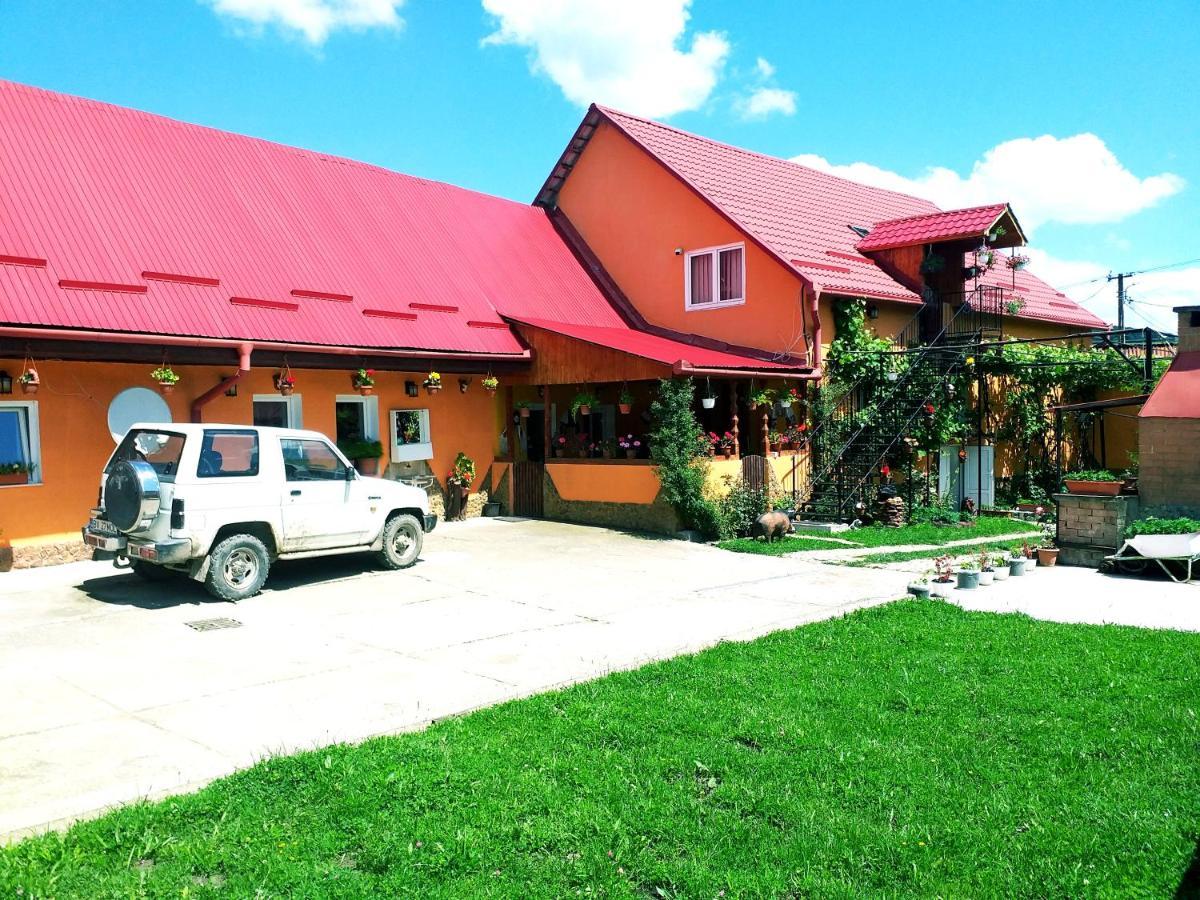 Casa Florilor Barcutアパートメント エクステリア 写真