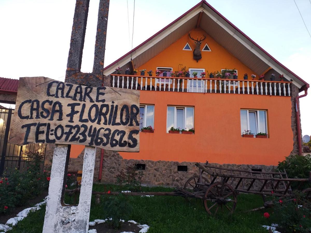 Casa Florilor Barcutアパートメント エクステリア 写真