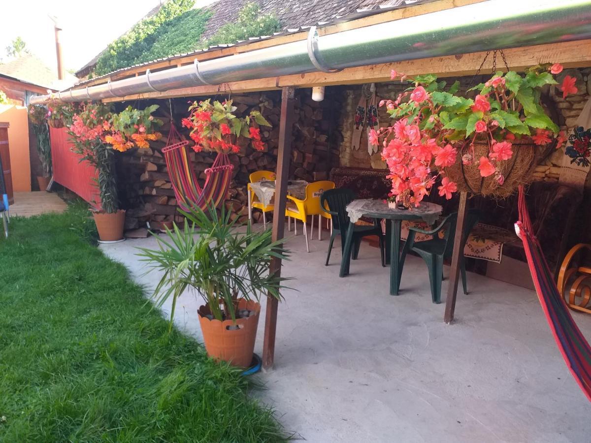 Casa Florilor Barcutアパートメント エクステリア 写真