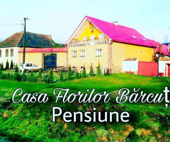 Casa Florilor Barcutアパートメント エクステリア 写真