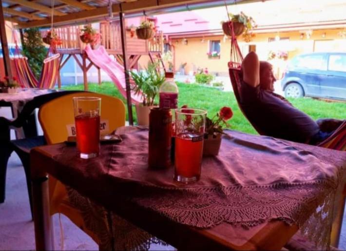 Casa Florilor Barcutアパートメント エクステリア 写真