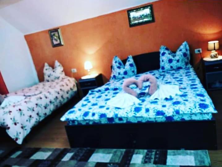 Casa Florilor Barcutアパートメント エクステリア 写真