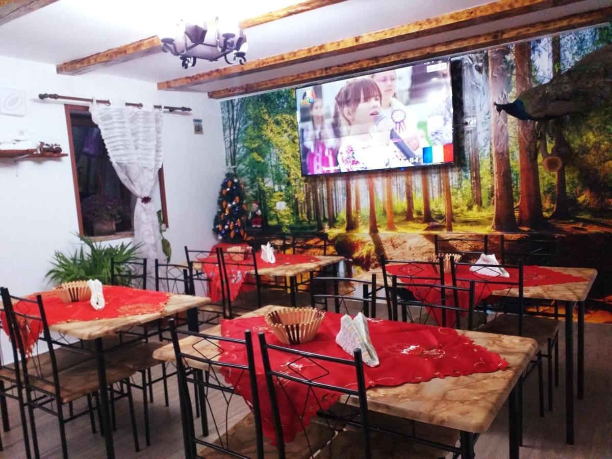Casa Florilor Barcutアパートメント エクステリア 写真