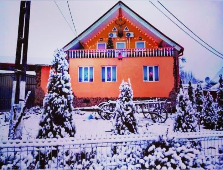 Casa Florilor Barcutアパートメント エクステリア 写真