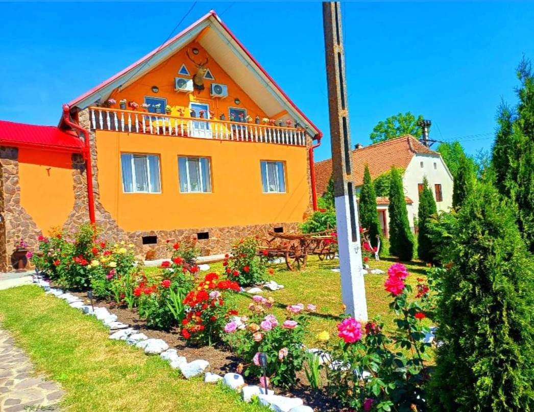 Casa Florilor Barcutアパートメント エクステリア 写真